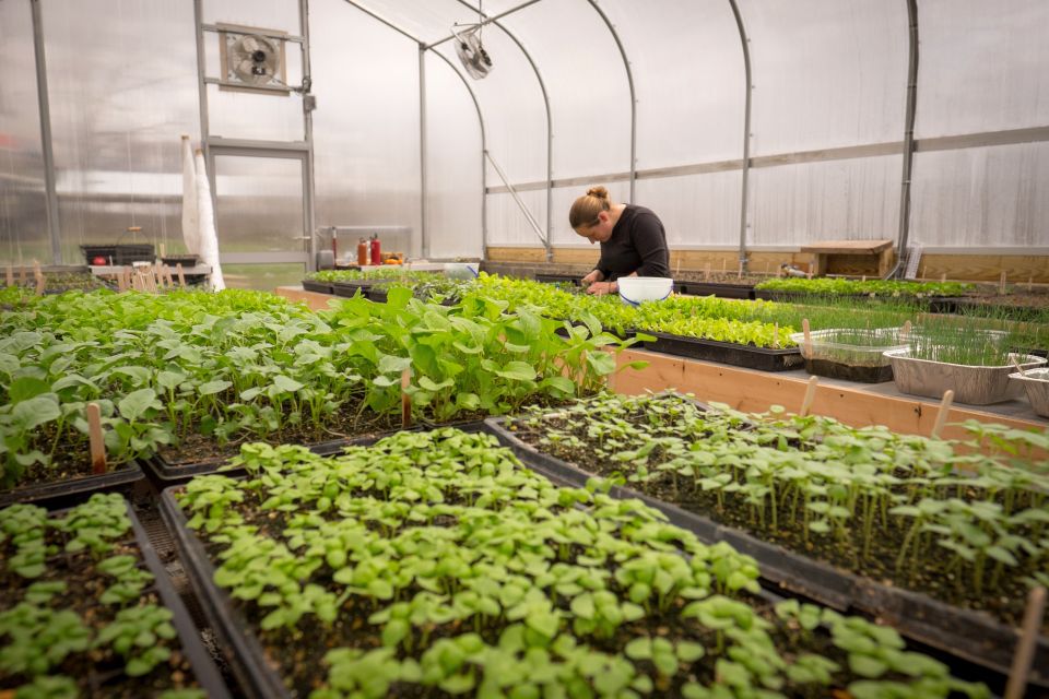 AMVAC Expands Non-Crop Business by Acquiring OHP