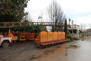 An outdoor sales area is tucked under the goat bridge.