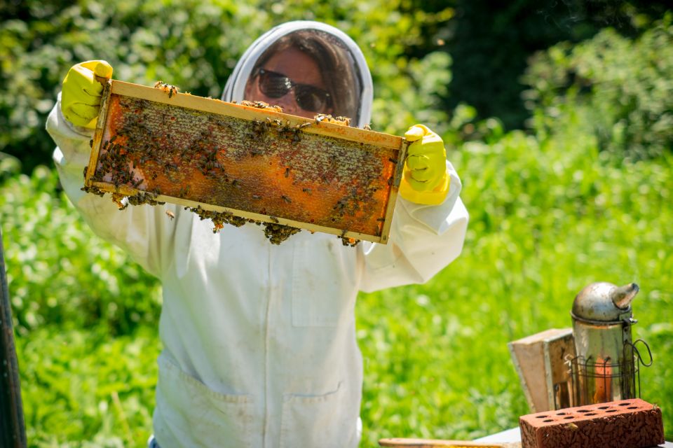 New Program Highlights Bee-Friendly Farming Practices