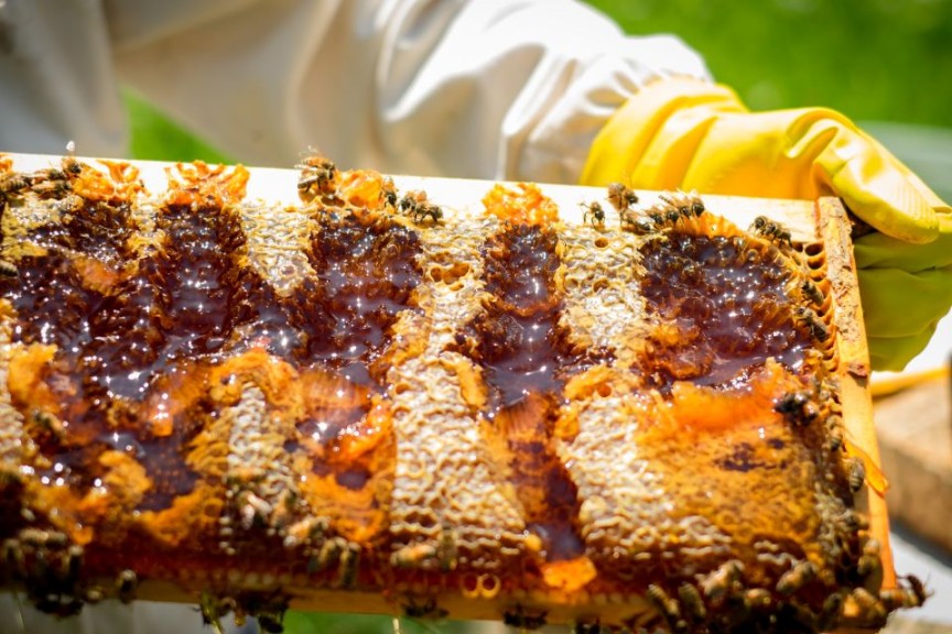 This kind of demonstration helps guests value what they eat
