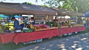 How CSA Is Growing To Be a Berry Good Sales Opportunity