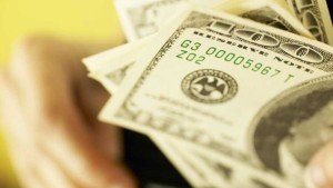 National Young Farmers Coalition Issues Federal Loan Guidebook