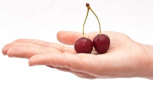 USDA Set for Vote on Tart Cherry Marketing Order