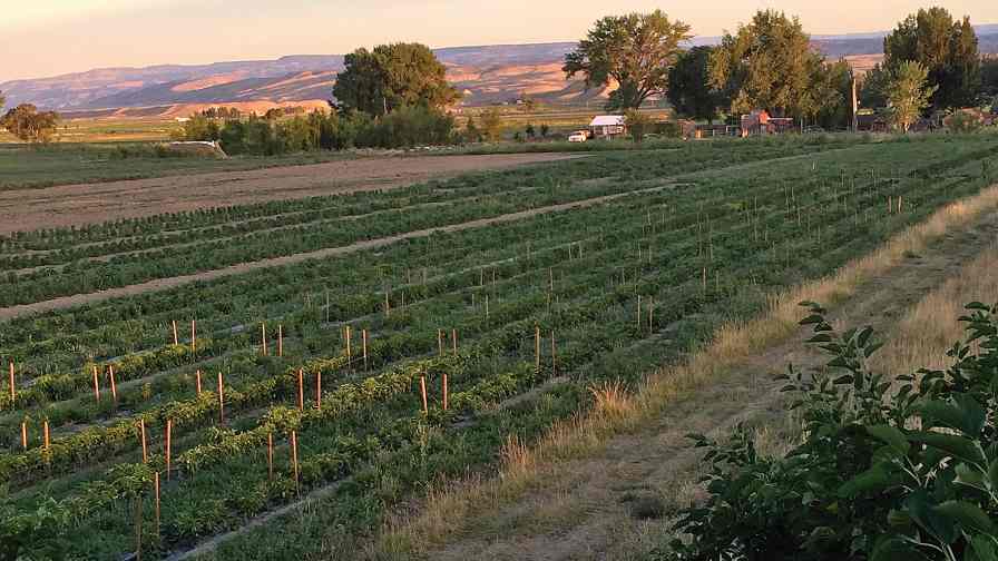 Colorado Farm Show Includes Colorado Produce Day