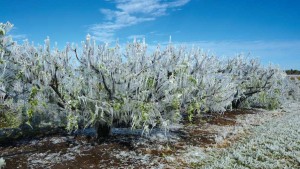 Is ‘Winter of the Great Divide’ on the Way?