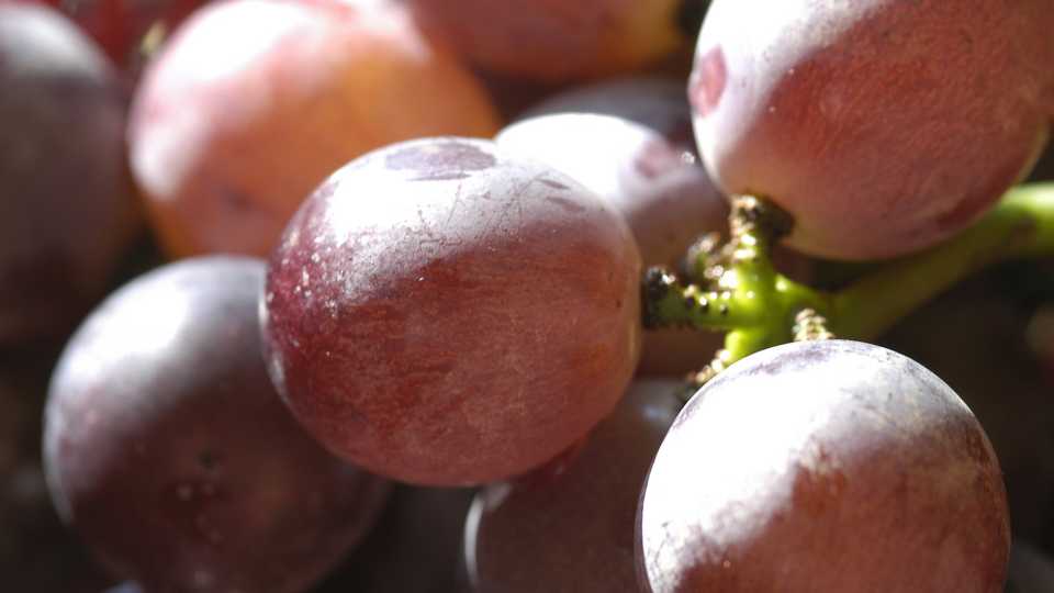 8. Grapes