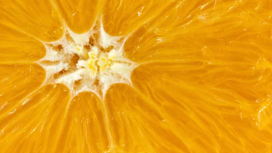 Production Challenges Putting Texas Citrus Under Early Season Pressure