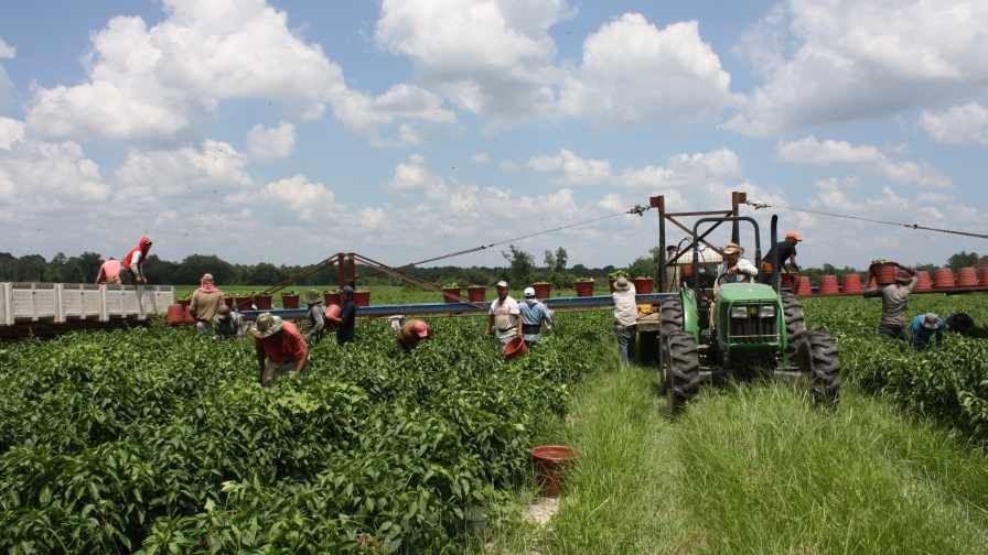 Ways Farmers Can Avoid Being Left Out in the Cold by ICE