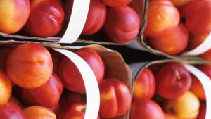 3. Nectarines