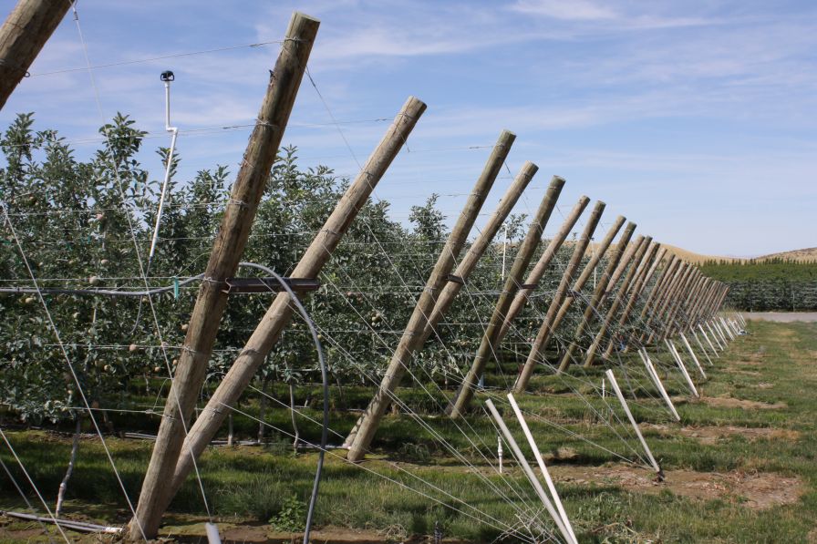 Cracks In Your Orchard’s Infrastructure Expose Bigger Flaws