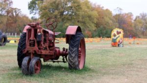 Tour Burnham Orchards