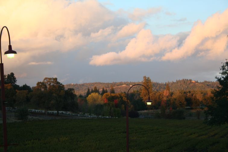 Sea Change Coming To California Winegrape Landscape