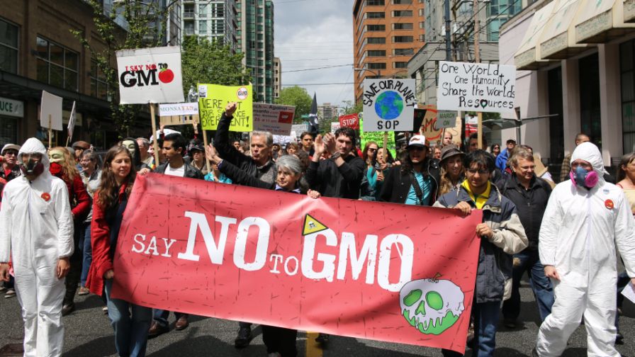 Watch out for Anti-GMO Fake-out [Opinion]