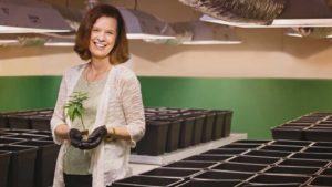 Cannabis Cultivation Quest Becoming Reality For Florida Nurseries