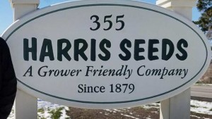 Head Of Harris Seeds To Retire; New CEO Appointed
