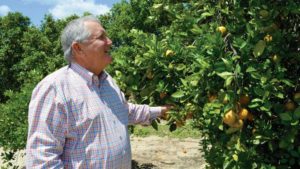 2016 Citrus Achievement Award Winner Has High Hopes For A Crop Comeback