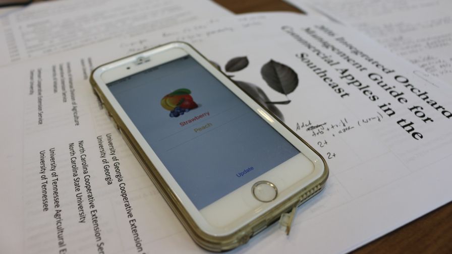 More Apps Help Growers Identify Insects And Diseases
