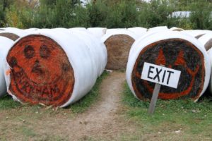 The hay bale maze is just tall enough (around 5 feet) to make it fun for adults, too. 
