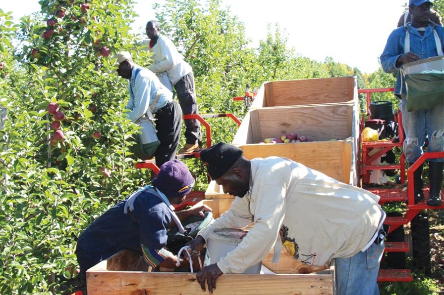 Washington Growers Slam ‘Double Standard’ for Farm Workers