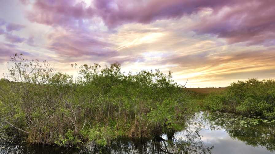 EPA Passes Wetlands Protection Program To the State of Florida