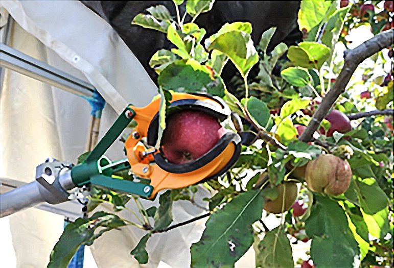 Orchard Automation Is On The Horizon