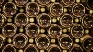 Border Protection Intercepts New Leafhopper In Wine Shipment