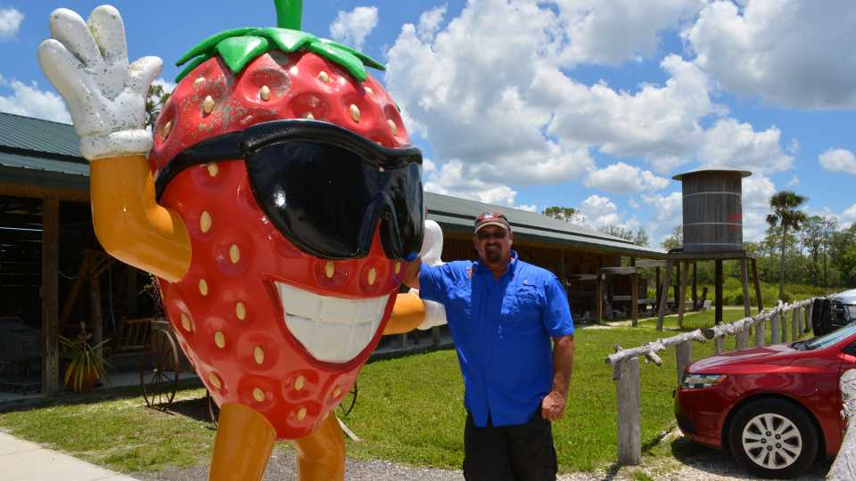 Strawberry With A Smile