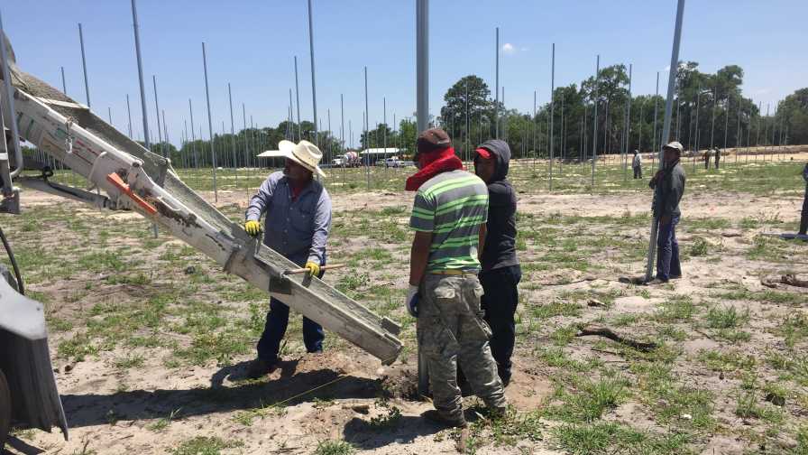 Florida Citrus Nurseries Seeking To Make It In The Shade