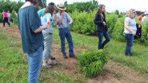 Easy to See Growing Number of Young Growers and Researchers
