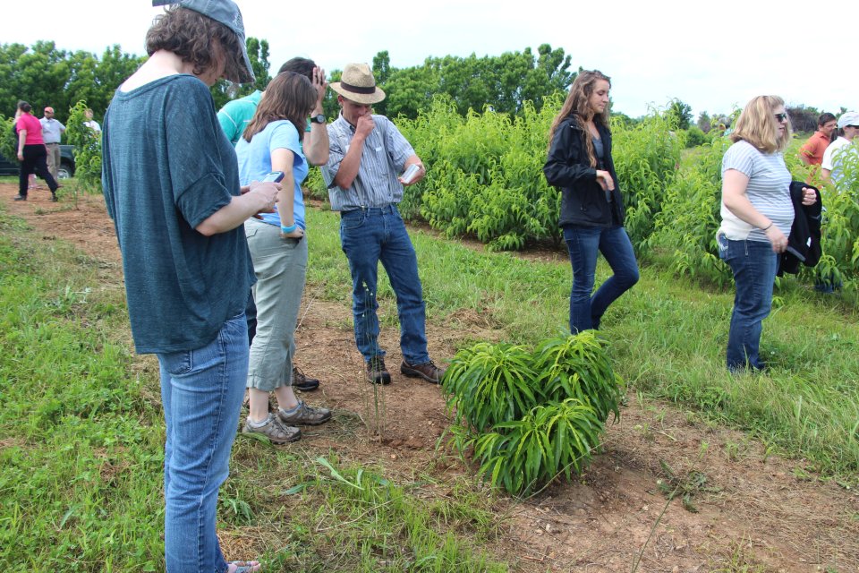 Easy to See Growing Number of Young Growers and Researchers