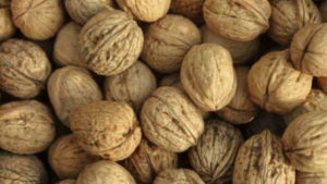 $1 Million Biological Walnut Farming Project Awarded