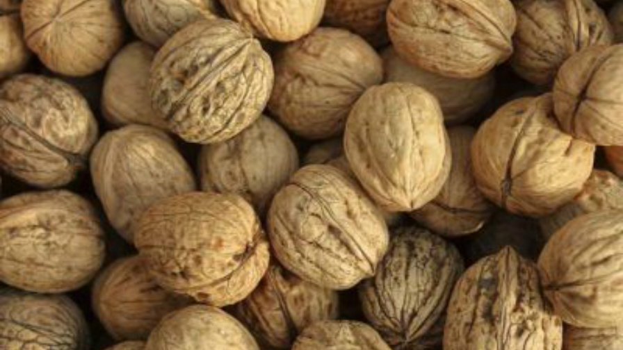 New Market Opportunities Set To Open Up for California Walnuts