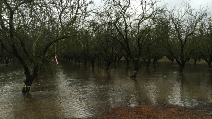 Almond Board Funding Groundwater Recharge Research