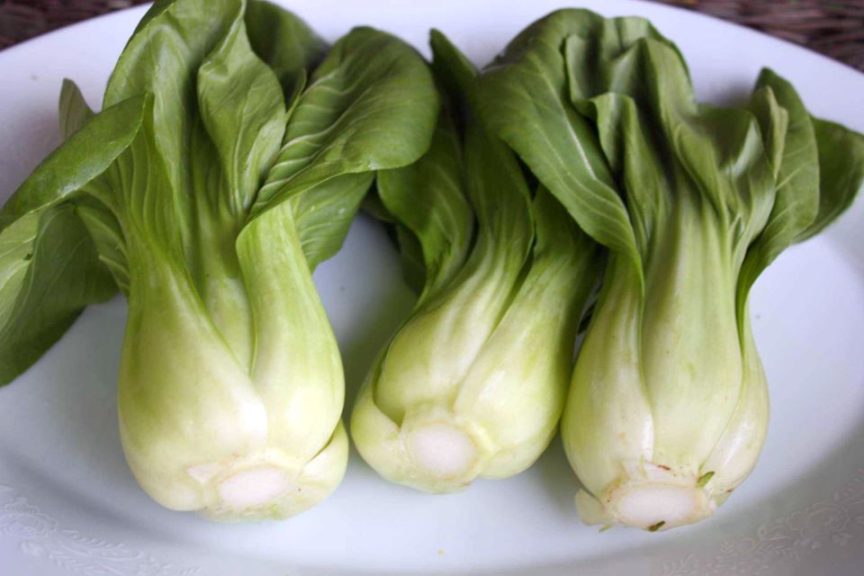 Alternative Food Crops to Consider: Bok Choy