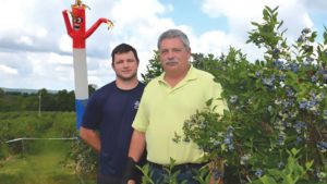 Bird Damage Plagues Most Fruit Growers