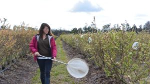 New Video Highlights Benefits Of Planting Flowers For Bees