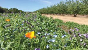 BeSure! Campaign Aims To Help Farmers Be Better Stewards