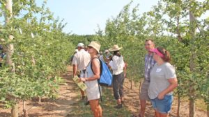 Seeing The Real Big Apple In New York On IFTA Summer Tour