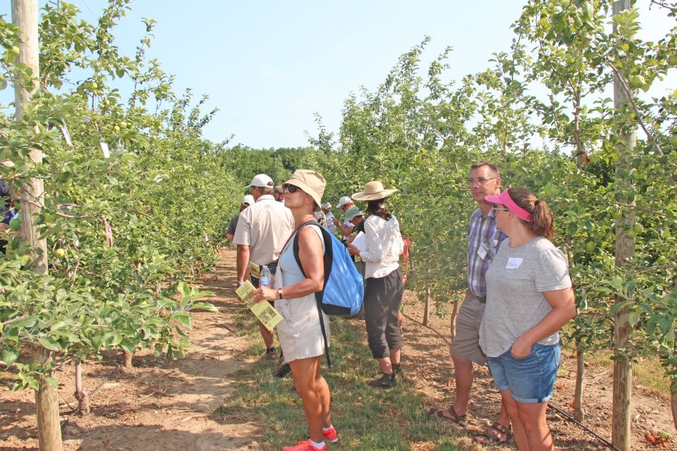 Seeing The Real Big Apple In New York On IFTA Summer Tour