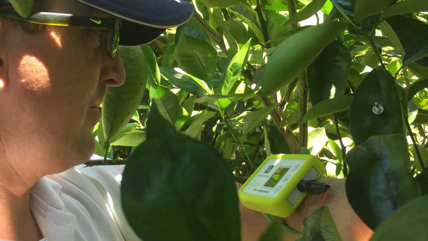Yara Seeking To Make Splash With New Water-Saving Tool