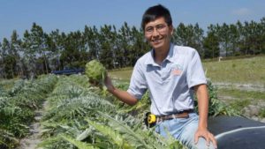 Learn How To Diversify and Grow With These Alternative Crops
