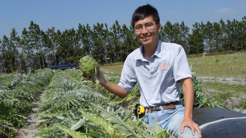Fresh Take on How To Improve Artichokes