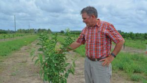 10 Water-Friendly Ag Projects in Florida Chosen for Million-Dollar Share