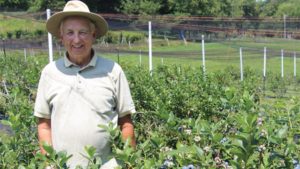 Pick-Your-Own Pointers From Expert Blueberry Grower