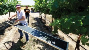 Managing Water In California Vineyards