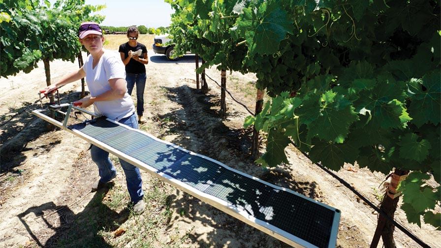 Managing Water In California Vineyards