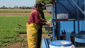 The Path To Food Safety