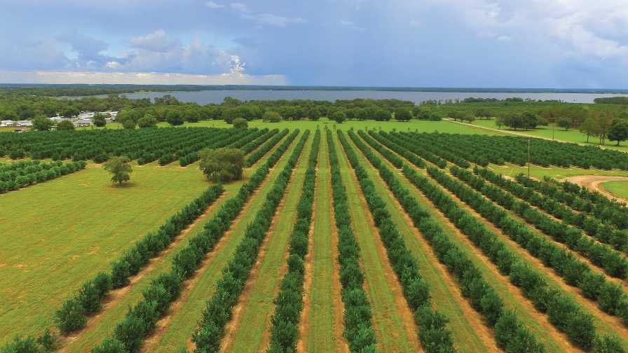 Celebrate National Farmer’s Day Every Day