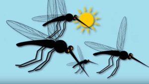 Protect Yourself From The Zika Virus [Opinion]