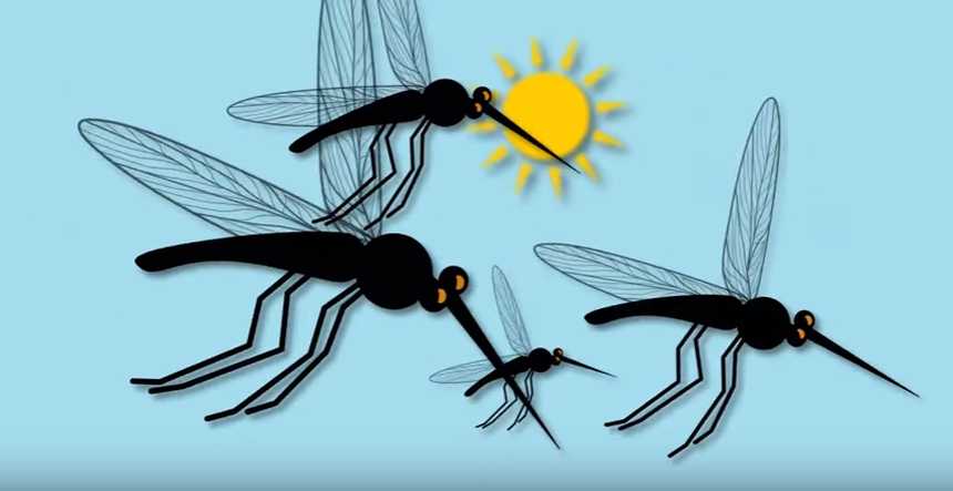 Protect Yourself From The Zika Virus [Opinion]